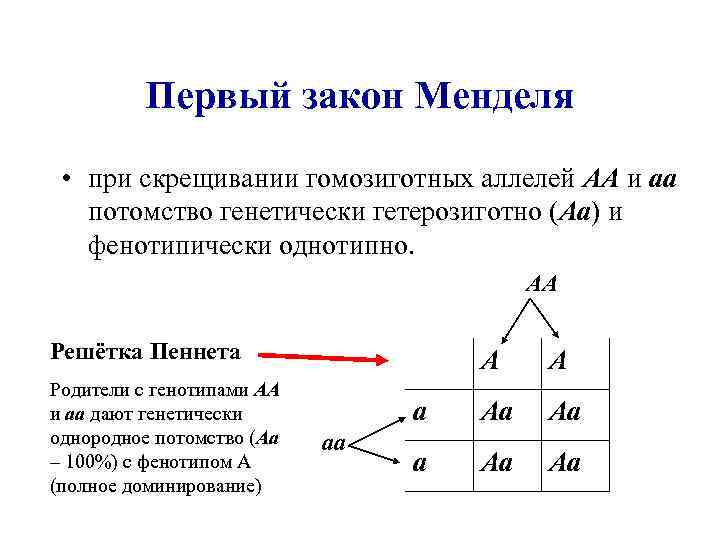 Определите какую закономерность иллюстрирует данная схема р аа х аа