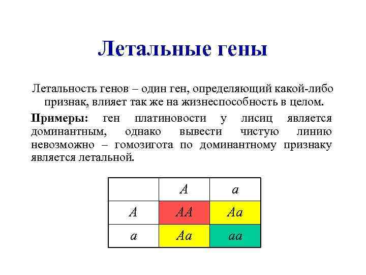 Решить задачу на гены. Задачи на летальные гены. Летальные гены задачи по генетике. Наследование летальных генов. Примеры летальных генов.