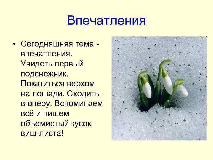 Впечатления • Сегодняшняя тема впечатления. Увидеть первый подснежник. Покатиться верхом на лошади. Сходить в