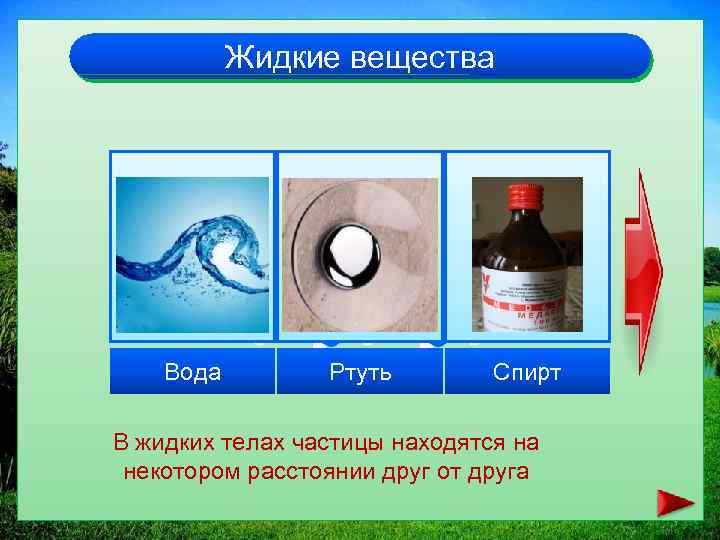 Жидкие вещества Вода Ртуть Спирт В жидких телах частицы находятся на некотором расстоянии друг