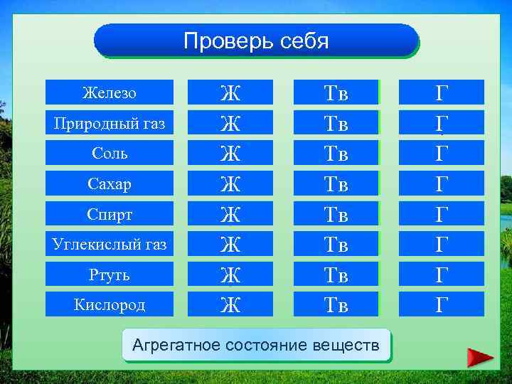Проверь себя Железо Природный газ Соль Сахар Спирт Углекислый газ Ртуть Кислород Ж Ж