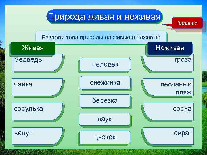 Тело природы 3 класс. Что относится к объектам неживой природы. Живая и неживая природа задания. Тела живой природы.