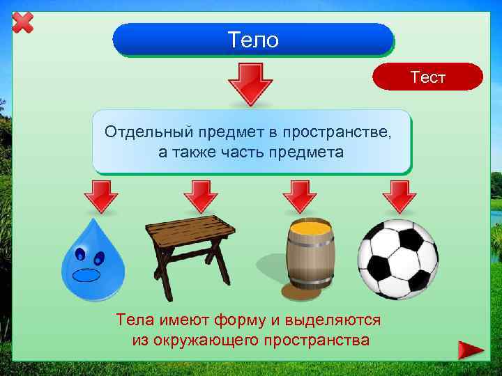 Тело Тест Отдельный предмет в пространстве, а также часть предмета Тела имеют форму и