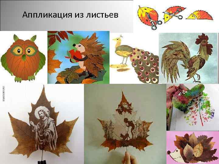 Аппликация из листьев 