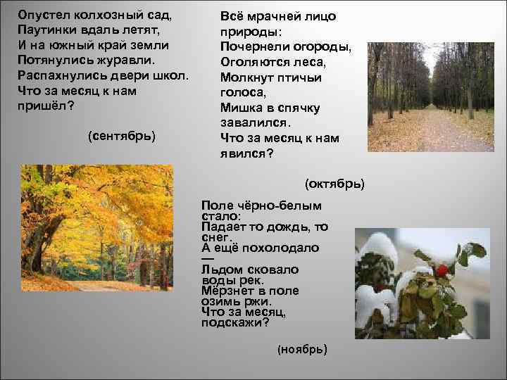 Опустел колхозный сад, Паутинки вдаль летят, И на южный край земли Потянулись журавли. Распахнулись