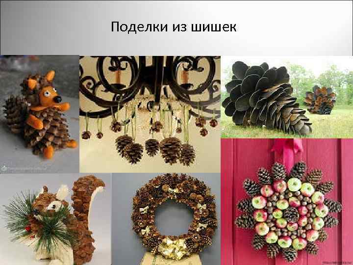Поделки из шишек 