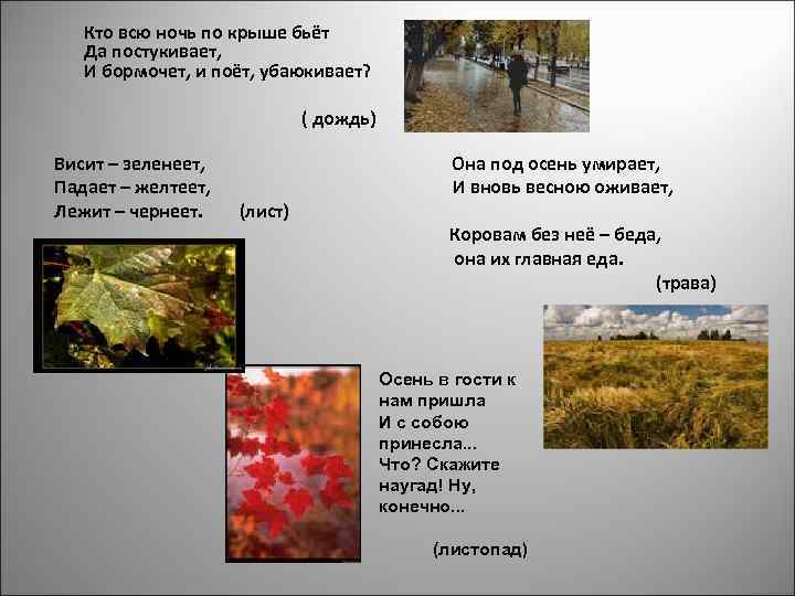 Кто всю ночь по крыше бьёт Да постукивает, И бормочет, и поёт, убаюкивает? (