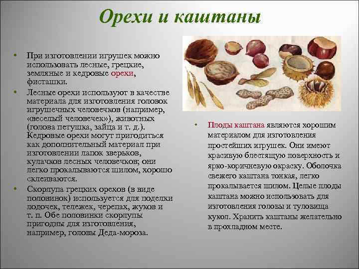 Орехи и каштаны • • • При изготовлении игрушек можно использовать лесные, грецкие, земляные