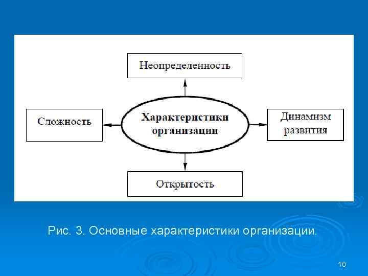 Рис. 3. Основные характеристики организации. 10 