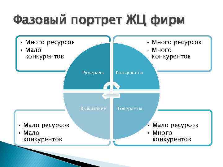 Фазовый портрет ЖЦ фирм • Много ресурсов • Мало конкурентов • Много ресурсов •