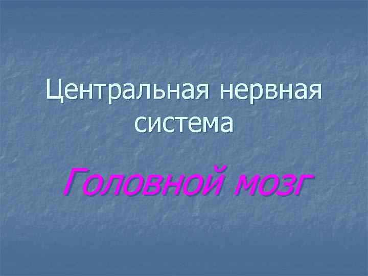 Центральная нервная система Головной мозг 