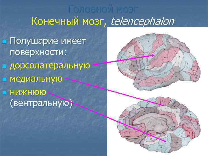 Конечная поверхность