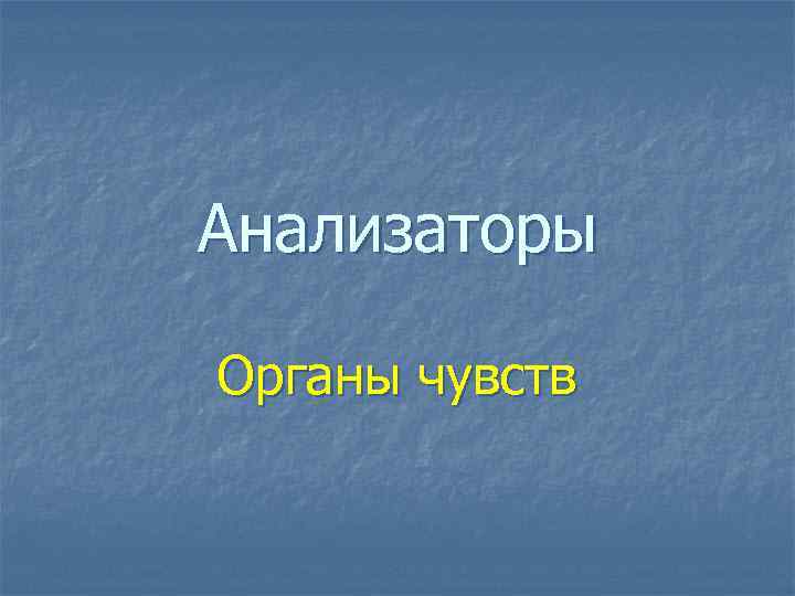 Анализаторы Органы чувств 