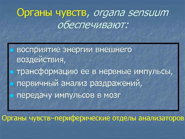 Органы чувств, organa sensuum обеспечивают: n n восприятие энергии внешнего воздействия, трансформацию ее в