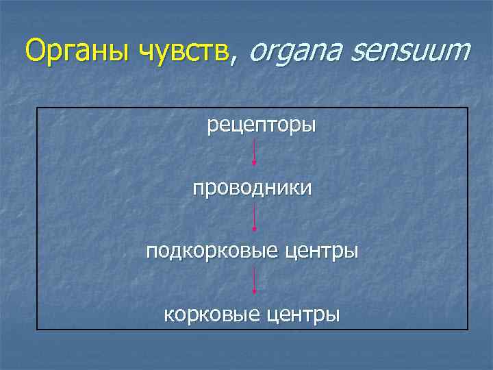 Как нас обманывают органы чувств хоффман