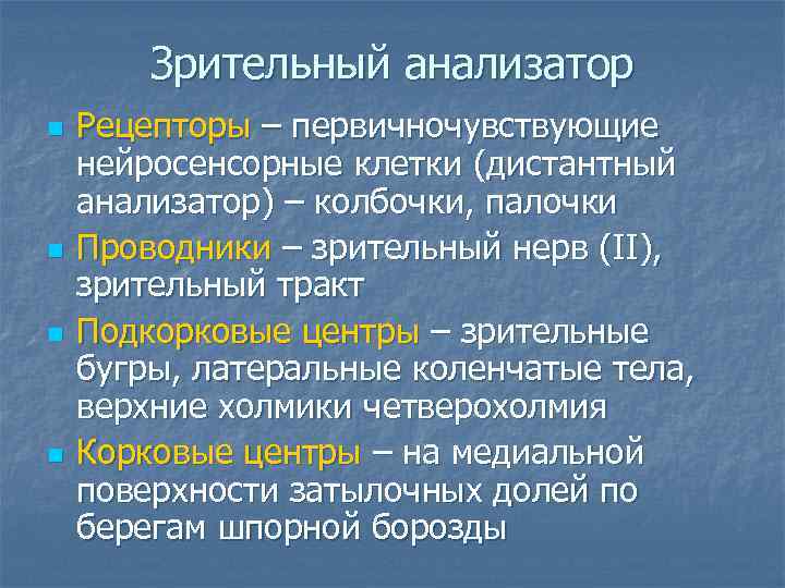Зрительный анализатор n n Рецепторы – первичночувствующие нейросенсорные клетки (дистантный анализатор) – колбочки, палочки