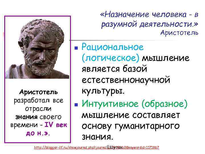 Разумные виды. Аристотель проблемы. Назначение человека в разумной деятельности Аристотель. Аристотель разработал концепцию:. Эссе Назначение человека в разумной деятельности Аристотель.