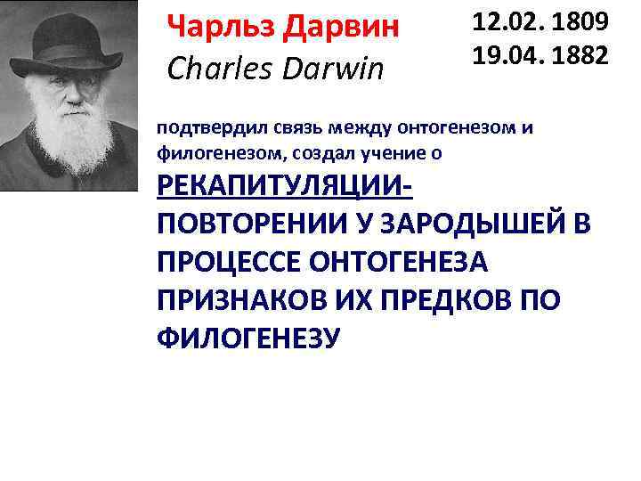 Чарльз Дарвин Charles Darwin 12. 02. 1809 19. 04. 1882 подтвердил связь между онтогенезом