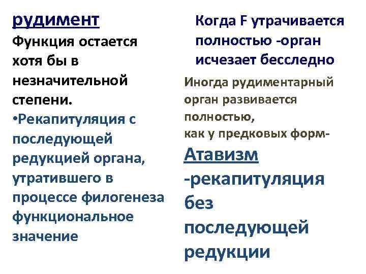рудимент Функция остается хотя бы в незначительной степени. • Рекапитуляция с последующей редукцией органа,