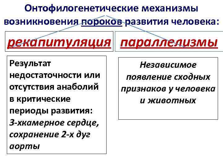 Современные представления о механизмах и закономерностях эволюции проект