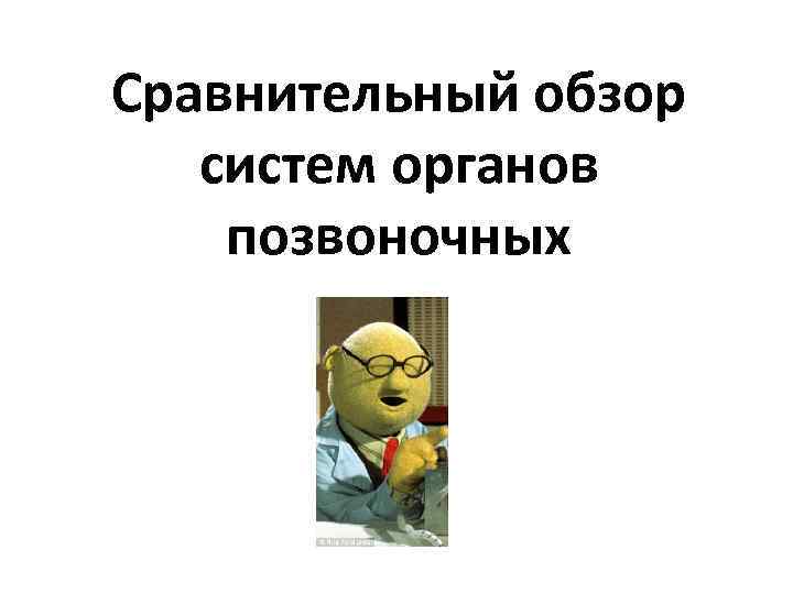 Сравнительный обзор систем органов позвоночных 