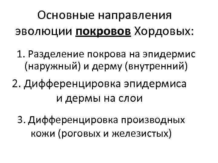 Основные направления эволюции покровов Хордовых: 1. Разделение покрова на эпидермис (наружный) и дерму (внутренний)