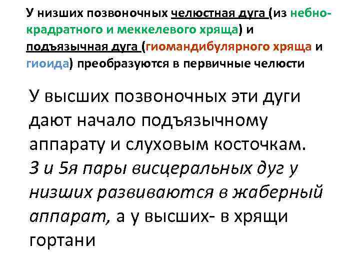 У низших позвоночных челюстная дуга (из небнокрадратного и меккелевого хряща) и подъязычная дуга (гиомандибулярного