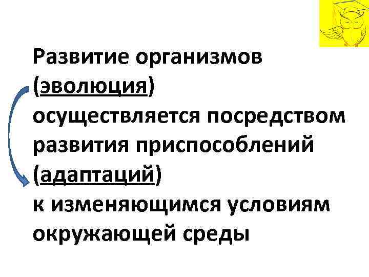 Развитие организмов (эволюция) осуществляется посредством развития приспособлений (адаптаций) к изменяющимся условиям окружающей среды 