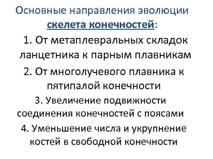 Основные направления эволюции скелета конечностей: 1. От метаплевральных складок ланцетника к парным плавникам 2.