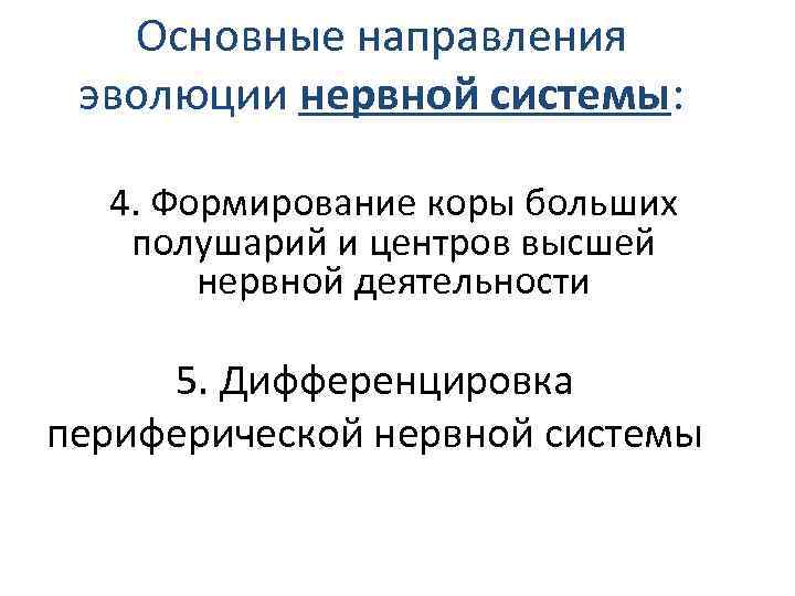 Основные направления эволюции нервной системы: 4. Формирование коры больших полушарий и центров высшей нервной