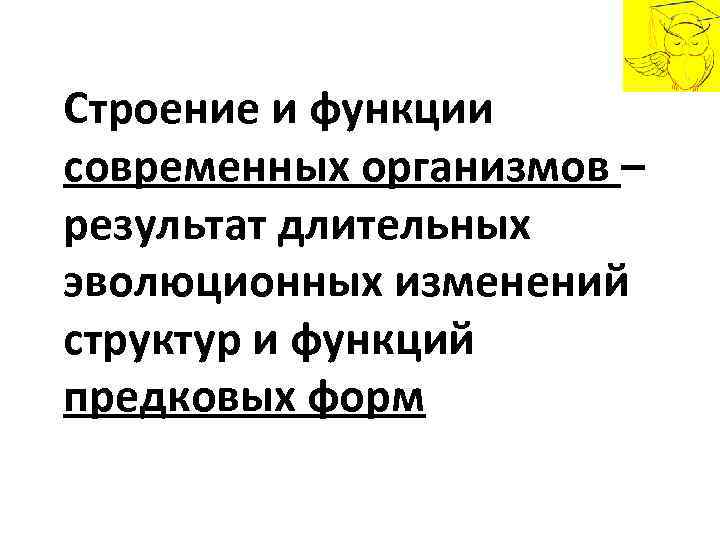 Строение и функции современных организмов – результат длительных эволюционных изменений структур и функций предковых