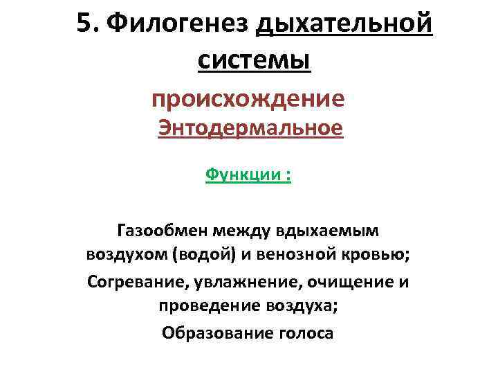 5. Филогенез дыхательной системы происхождение Энтодермальное Функции : Газообмен между вдыхаемым воздухом (водой) и
