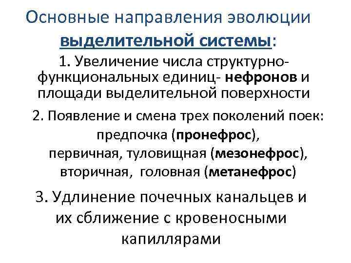 Основные направления эволюции выделительной системы: 1. Увеличение числа структурнофункциональных единиц- нефронов и площади выделительной