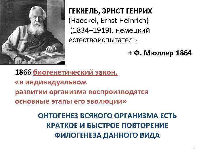 ГЕККЕЛЬ, ЭРНСТ ГЕНРИХ (Haeckel, Ernst Heinrich) (1834– 1919), немецкий естествоиспытатель + Ф. Мюллер 1864