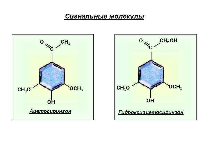 Сигнальные молекулы O O CH 3 C C OCH 3 O CH 2 OH