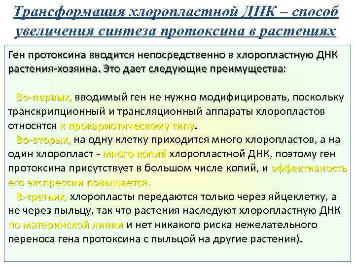 Трансформация хлоропластной ДНК – способ увеличения синтеза протоксина в растениях Ген протоксина вводится непосредственно