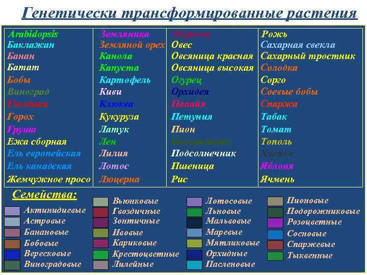 Генетически трансформированные растения Arabidopsis Баклажан Банан Батат Бобы Виноград Гвоздика Горох Груша Ежа сборная