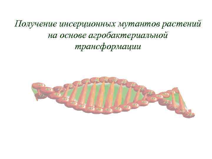 Получение инсерционных мутантов растений на основе агробактериальной трансформации 