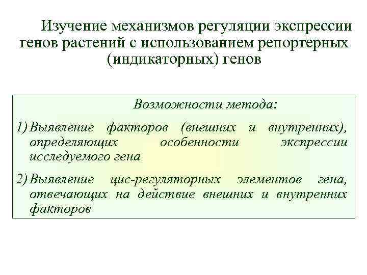 Изучение механизмов регуляции экспрессии генов растений с использованием репортерных (индикаторных) генов Возможности метода: 1)
