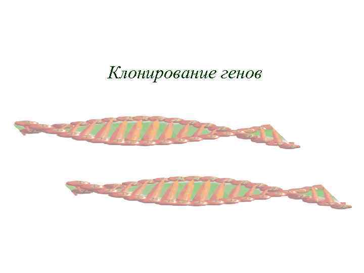 Клонирование генов 