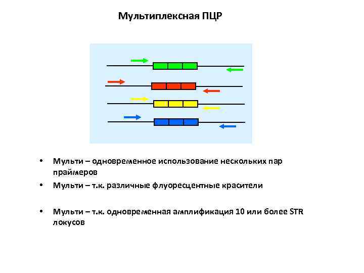 Выберите верные утверждения о количественной пцр. Мультиплексная ПЦР схема. Мультиплексная ПЦР этапы. Мультиплексная ПЦР позволяет осуществлять. ПЦР клонирование.