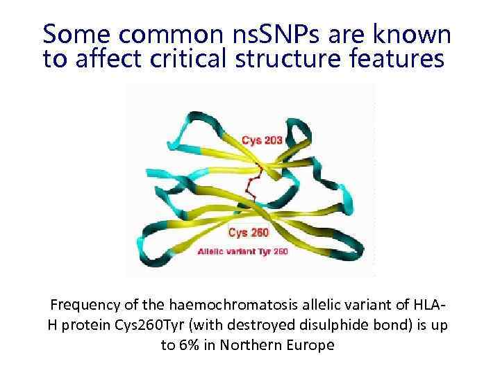 Some common ns. SNPs are known to affect critical structure features Frequency of the