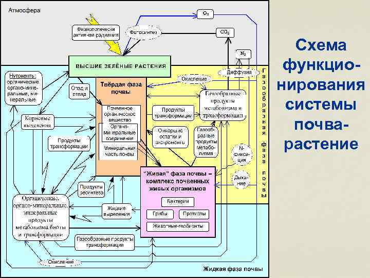 Схема функционирования системы почварастение 