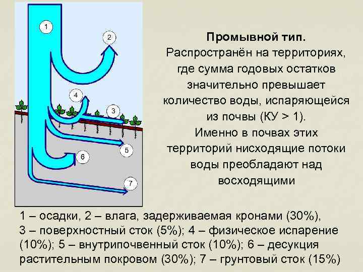 Промывной тип. Распространён на территориях, где сумма годовых остатков значительно превышает количество воды, испаряющейся