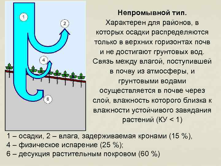 Непромывной тип. Характерен для районов, в которых осадки распределяются только в верхних горизонтах почв