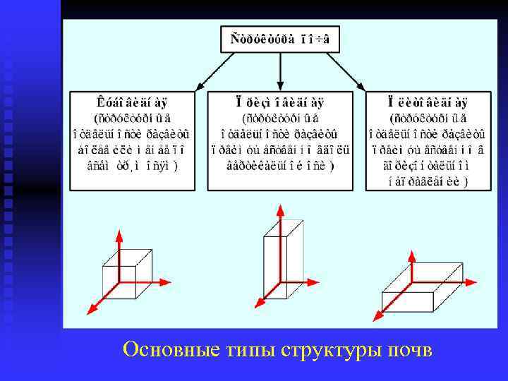 Основные типы структуры почв 