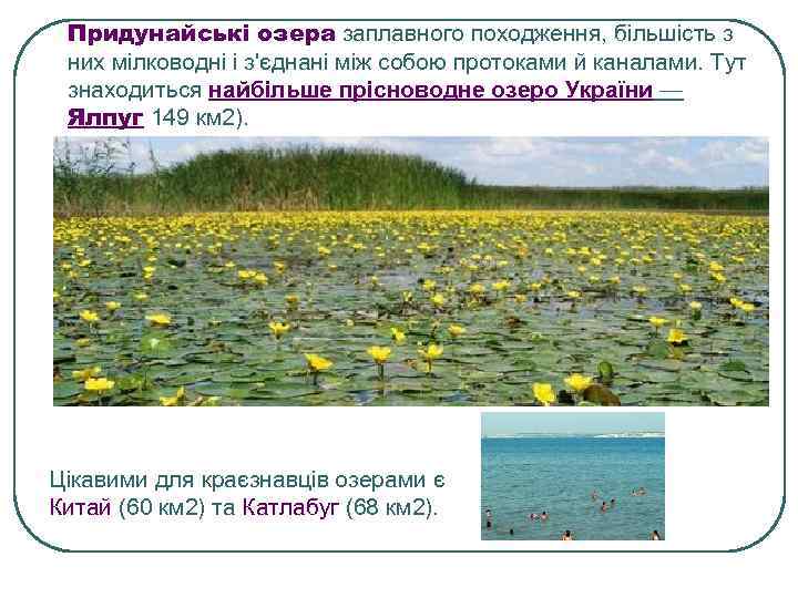 Придунайські озера заплавного походження, більшість з них мілководні і з'єднані між собою протоками й