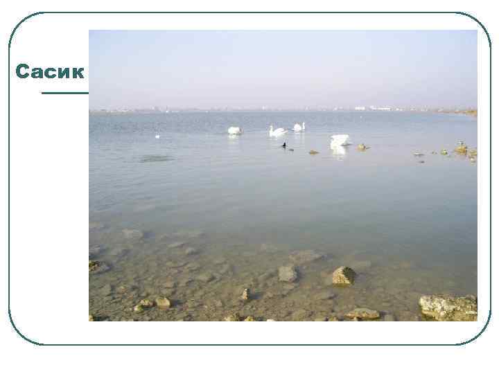 Сасик 