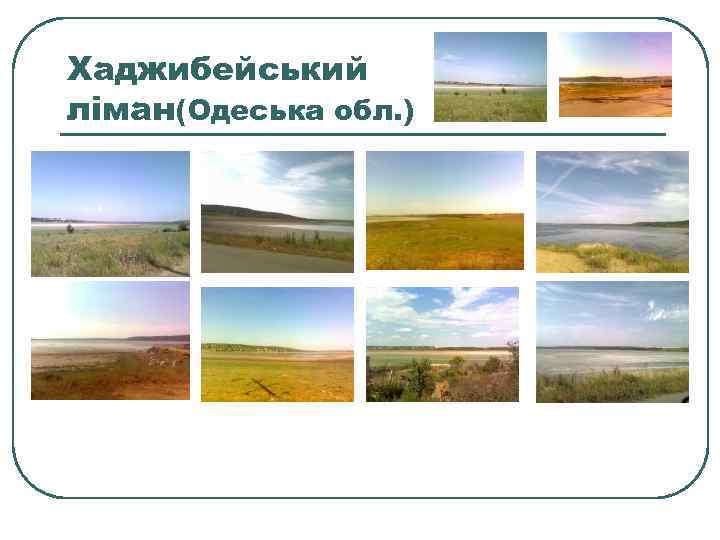 Хаджибейський ліман(Одеська обл. ) 