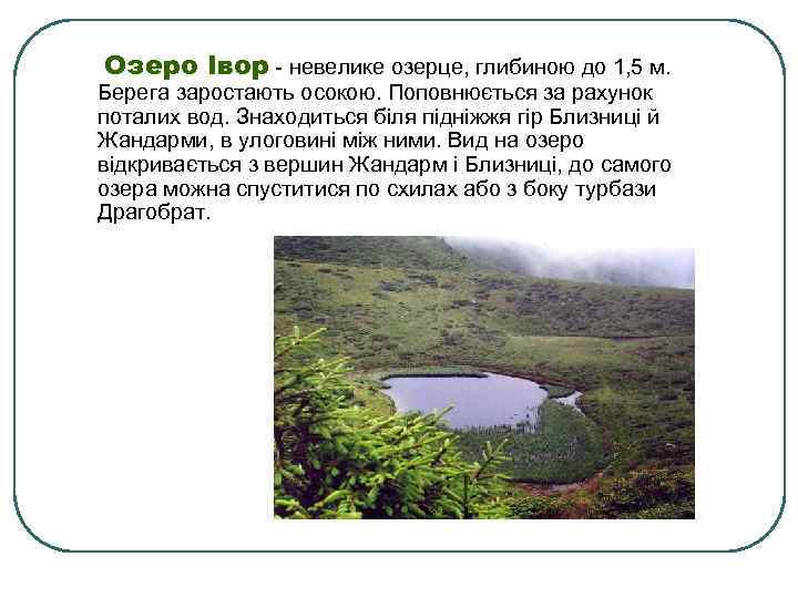 Озеро Івор - невелике озерце, глибиною до 1, 5 м. Берега заростають осокою. Поповнюється